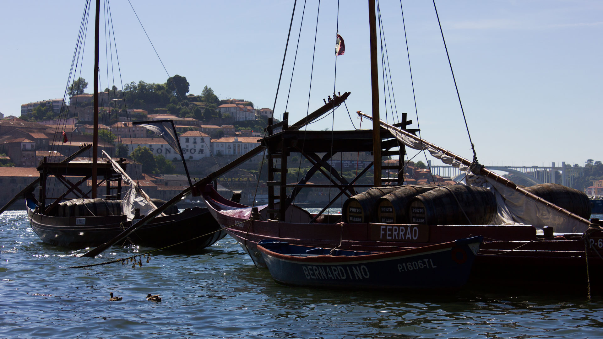 Rabelo boats in Porto