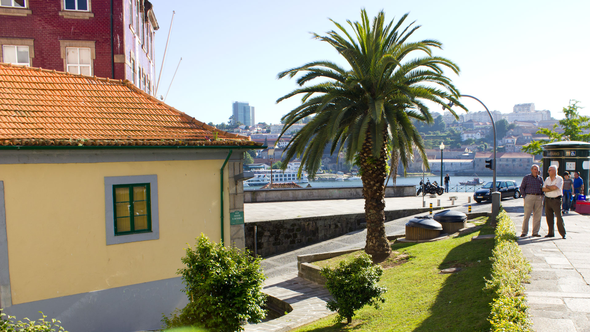 Palms and historical buildings in Portugal